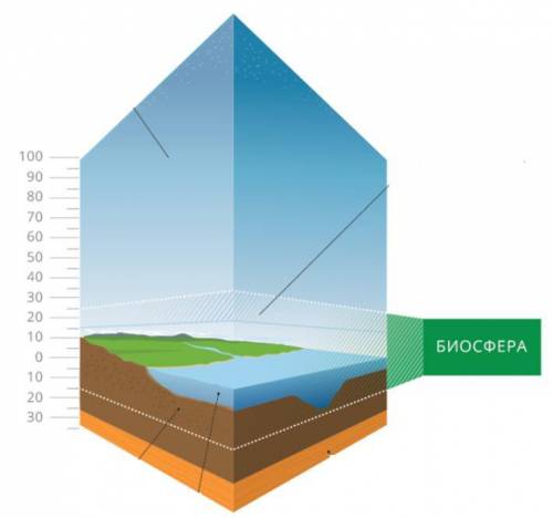 Определите по рисунку мощность биосферы .