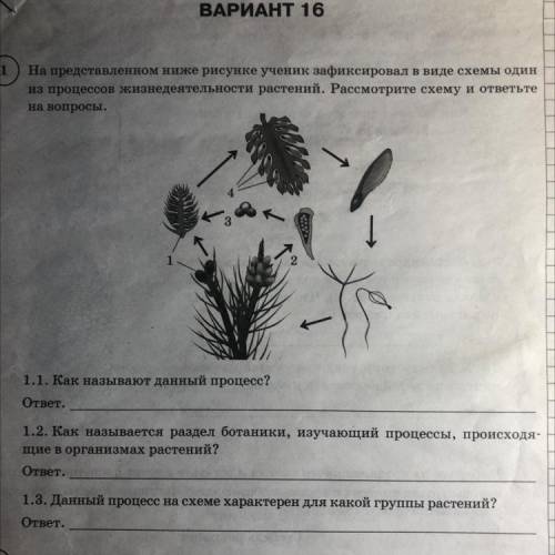 1. Как называют этот процесс? 2. Как называется раздел ботаники, изучающий процессы, происходящим в