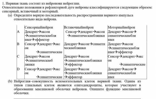 1. Нервная ткань состоит из нейронови нейроглии. Относительно положения в рефлекторной дуге нейроны