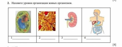 с естествознание 3 четверть ​