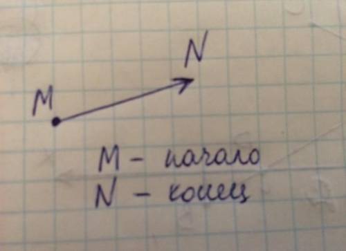 Изобразите вектор MN. Укажите начало и конец вектора​