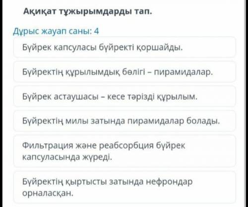 Сделайте верные выводы. Капсула почки окружает почку. Структурная часть почки - пирамиды. Почечный м