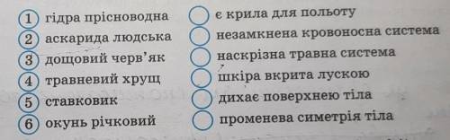 Встанови відповідність між твариною та характерною ознакою (впиши цифри)​