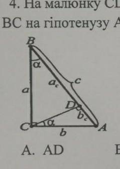 На малюнку CD - висота прямокутного трикутника ABC. Назвіть проєкцію катета BC на гіпотенузу AB.а) A