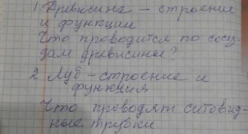 Подскажите . (строение-пример= волокна, цитоплазма и т.д.) (функции= что выполняет, делает) (ну и чт