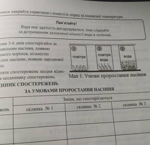 продовж 5-6 днів ігайте за набубнявінням насіння, появою зародкового корінця, кількістю пророслих на