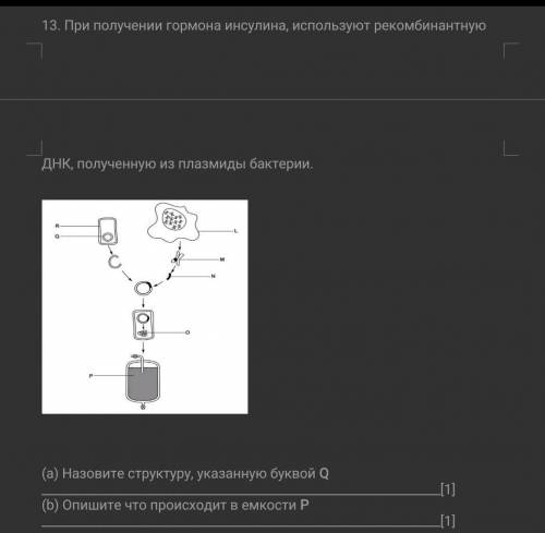 При получении гормона инсулина, используют рекомбинантную ДНК, полученную из плазмиды бактерии.​