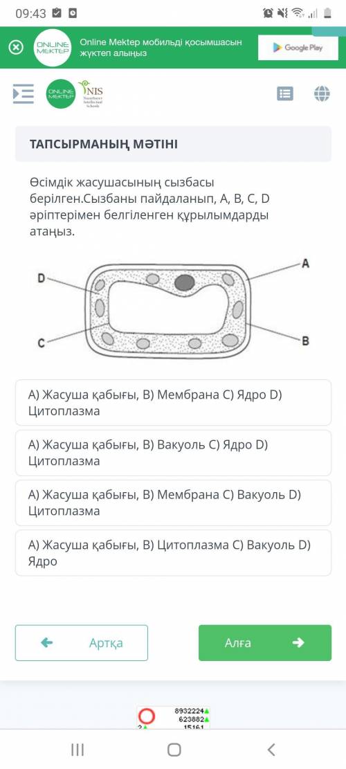 1.Өсімдік жасушасының сызбасы берілген.Сызбаны пайдаланып, А, В, С, D әріптерімен белгіленген құрылы