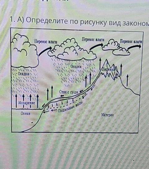 1. А) Определите по рисунку вид закономерности географической оболочки Б) объясните важность данной