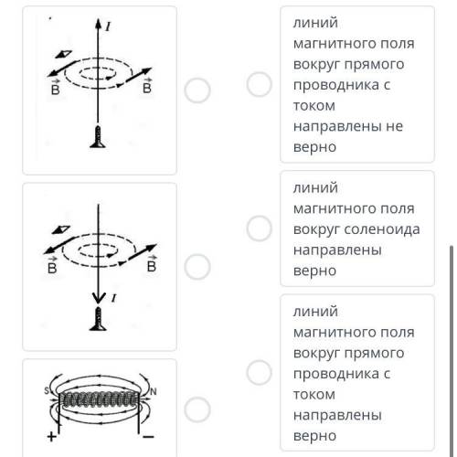 Соотнесите правильное и не правильное направление силовых линий магнитного поля вокруг прямого прово