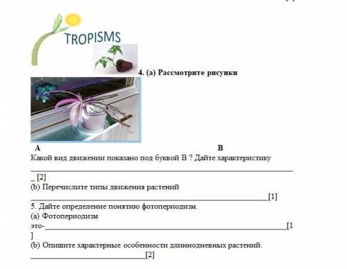 А) Рассмотрите рисунки А В Какой вид движении показано под буквой В ? Дайте характеристику [2] (b)