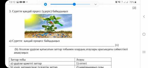 Суретте қандай процесс (үдеріс) байқадыңыз КЕРЕК сағат 6ға дейін