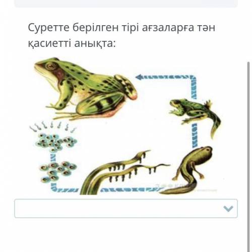 Тірі ағзаға тән қасиетті анықта