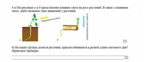 СОЧ ПО БИОЛОГИИ 7 КЛАСС (без спама)​