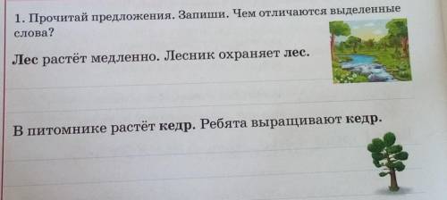 Прочитай предложения. Запиши. Чем отличаются выделенные слова?Лес растёт медленно. Лесник охраняет л