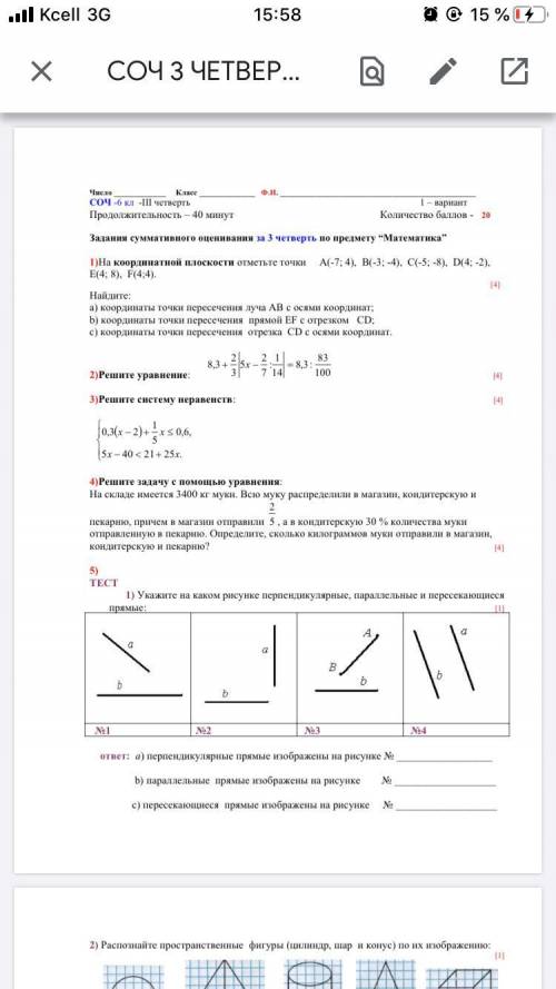 Здравствуйте сделать СОЧ по математике для 6 класса.