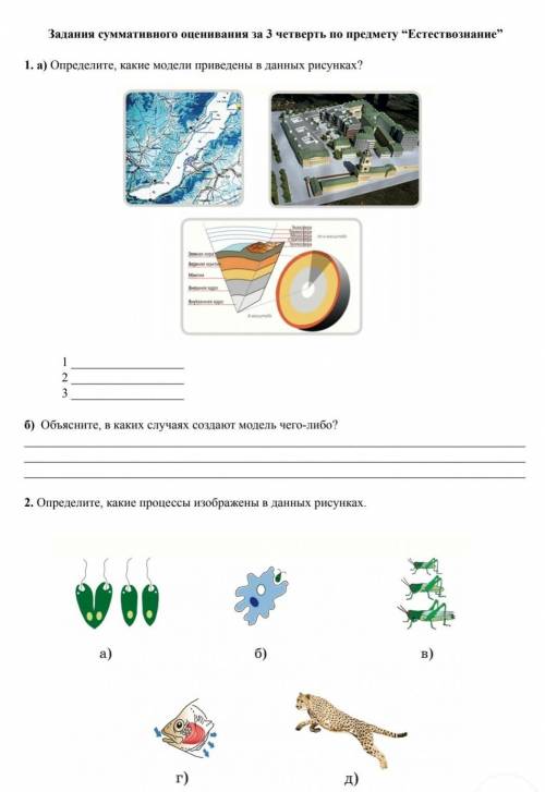 Определите, какие модели приведены в данных рисунках? 1 2 3 б) Объясните, в каких случаях созда