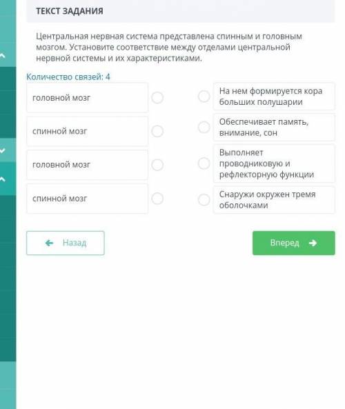 Центральная нервная система представлена спинным и головным мозгом. Установите соответствие между от