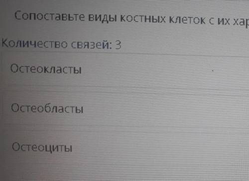 Сопоставьте виды костных клеток и их характеристиками остеокласты остеобласты остеоциты​