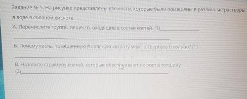 Контрольная я вообще не понимаю . Распишите нормально . все задания