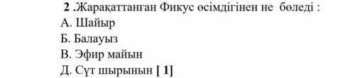 Сделать 3 задание на казахакском