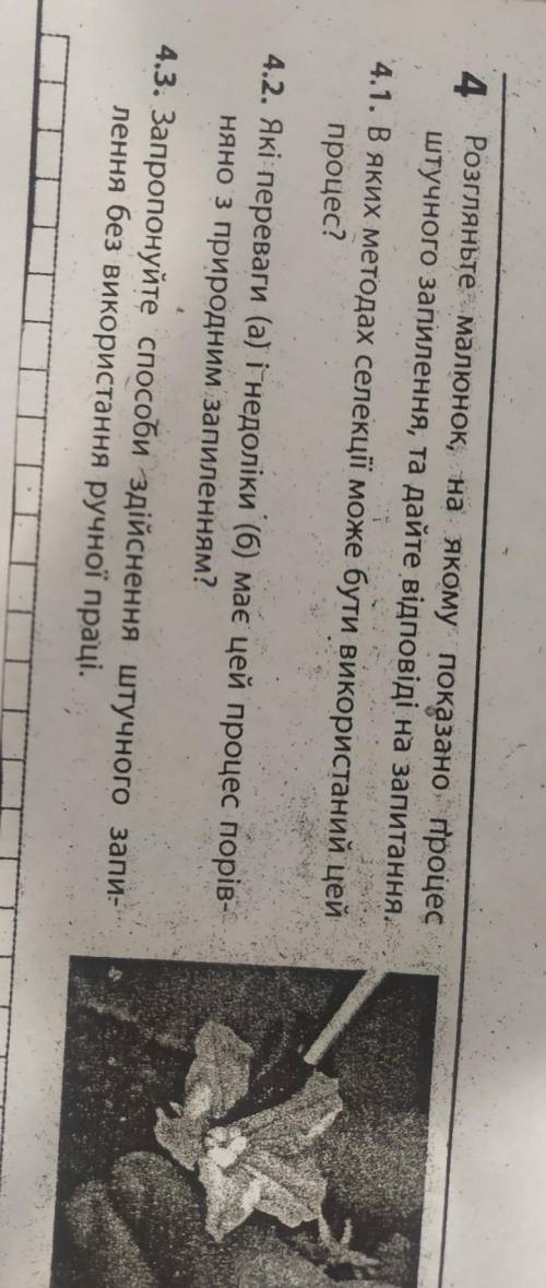 биология ‼️‼️‼️ Розгляньте малюнок, на якому показано, процесштучного запилення, та дайте відповіді