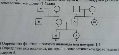 на рисунке показана диаграмма родословной наследования системы группы крови ABO. Группа крови некото