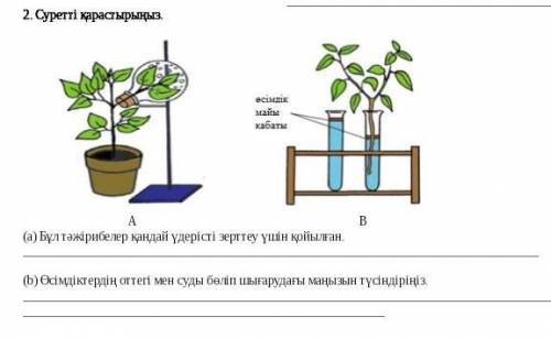 Кымде бар комектесындерш берем 87715778126​