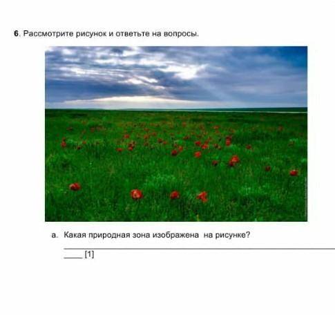 6. Рассмотрите рисунок и ответьте на вопросыа. Какая природная зона изображена на рисунке?​