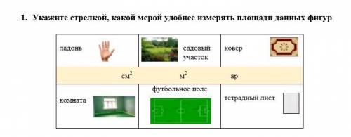 Ладонь- Садовый участок- Ковер- Комната- Фут.поле- Тетр.лист-