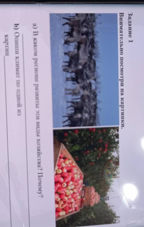 Задание 1 Внимательно посмотри на картинки.Яа) В каком регионе развіты эти виды хозяйства? Почему?Б)