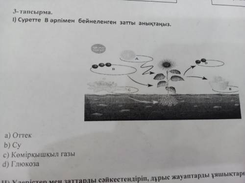 Суретте в әріпімен бейнеленген затты анықтаңыз бжб көмектесіп жіберіңдерші өтініш