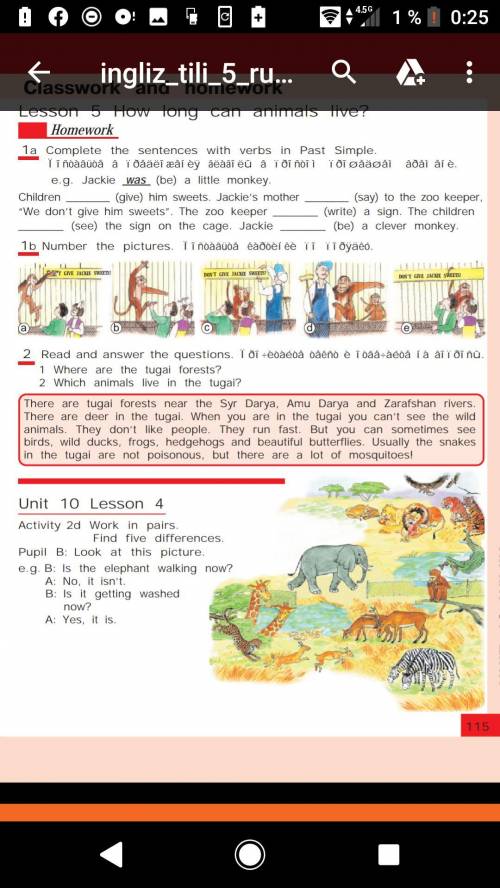 Unit 10 Lesson 4 Activity 2d Work in pairs. Find five differences. Pupil B: Look at this picture. e.