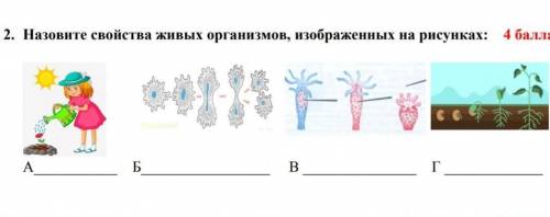 2. Назовите свойства живых организмов, изображенных на рисунках УМОЛЯЮ ​