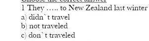 1 didn't travel 2 not traved3.don't traveled​