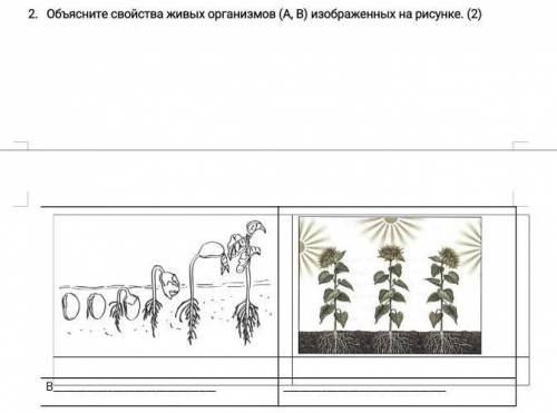 вапше не понел чо чопапала задают учителя уже мня задолбали ​