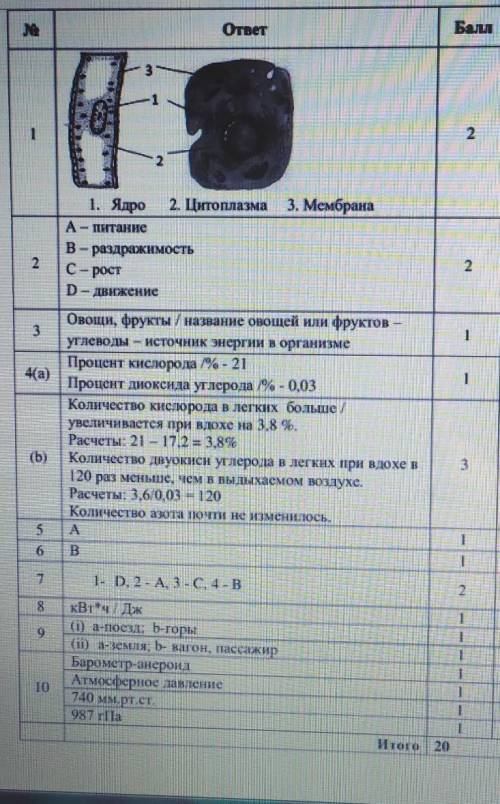 Это ответы на СОЧ по естествознанию 6 класс 3 четверть) у меня мама учитель, она мне ответы даёт. мо