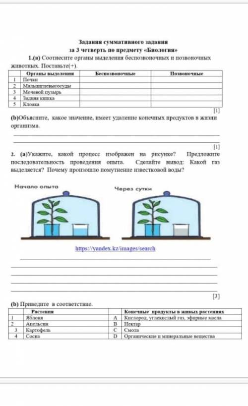 А) Соотнесите органы выделения беспозвоночных и позвоночных животных поставьте (+). b) обьеснение ка