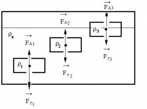10. На рисунке 3 изображены три тела равного объема, но разной плотности, погруженные в воду, и силы