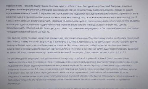 Почему в восточном Казахстане выращивают подсолнух?