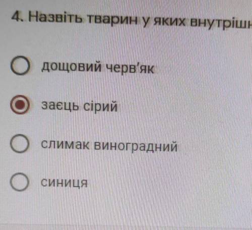 Назвіть тварин у яких внутрішній скелет.​