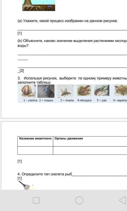 Используя рисунок, выберите по одному примеру животных, и заполните таблицу. 1- улитка 2 -кошка3-пче