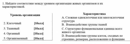 1.  Найдите соответствие между уровнем организации живых организмов и их характеристикой.​