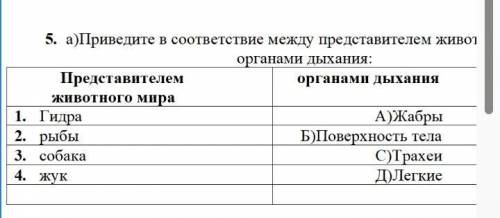 4 а)Приведите в соответствие между представителем животного мира и органами дыхания: Представителем