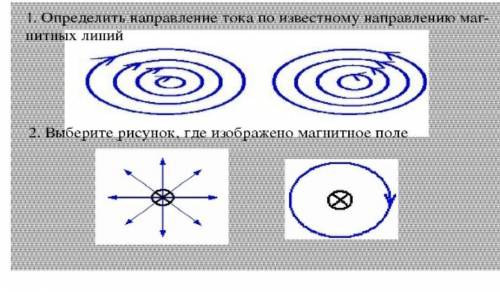 ответьте на вопросы по картинке ​