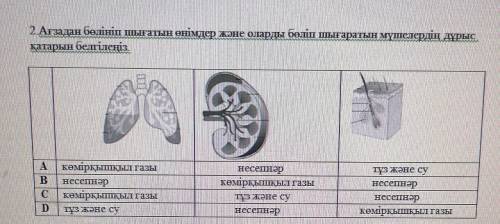 ответьте. Очень очень надо.