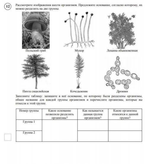 Рассмотрите изображения шести организмов. Предложите основание, согласно которому, их можно разделит
