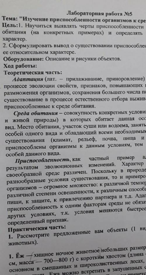 2. Определите среду обитания данного растения и животного. 3. Выявите черты при изучаемых видов к ср