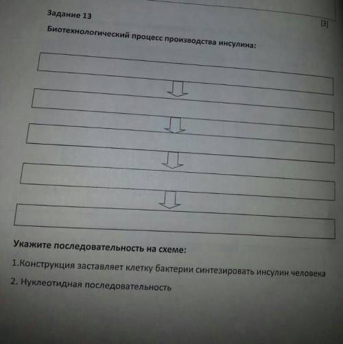 Биотехнологический процесс производства инсулина: Укажите последовательность на схеме: 1.Конструкция