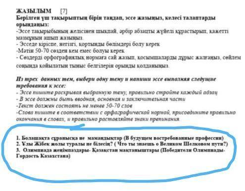 Где синим обведено то это темы по какому надо писать эссе​